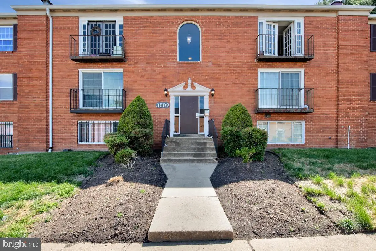 3809 Swann Rd #203, Suitland, MD 20746 - #1