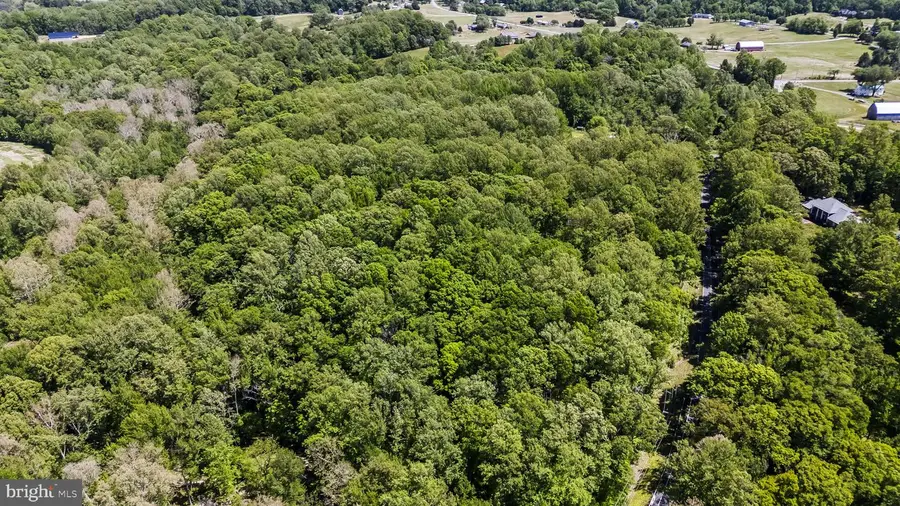 15690 Nelson Perrie Rd, Brandywine, MD 20613 - #3