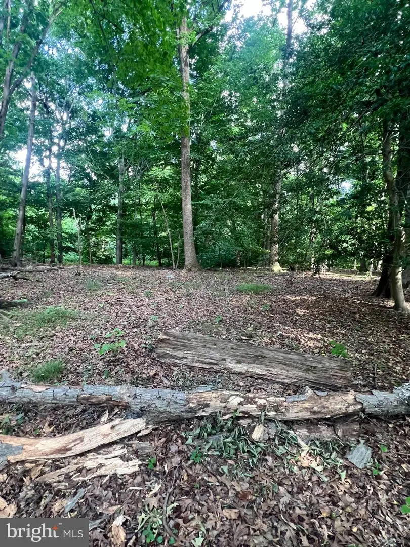 12955 Old Fort Rd, Fort Washington, MD 20744 - #2