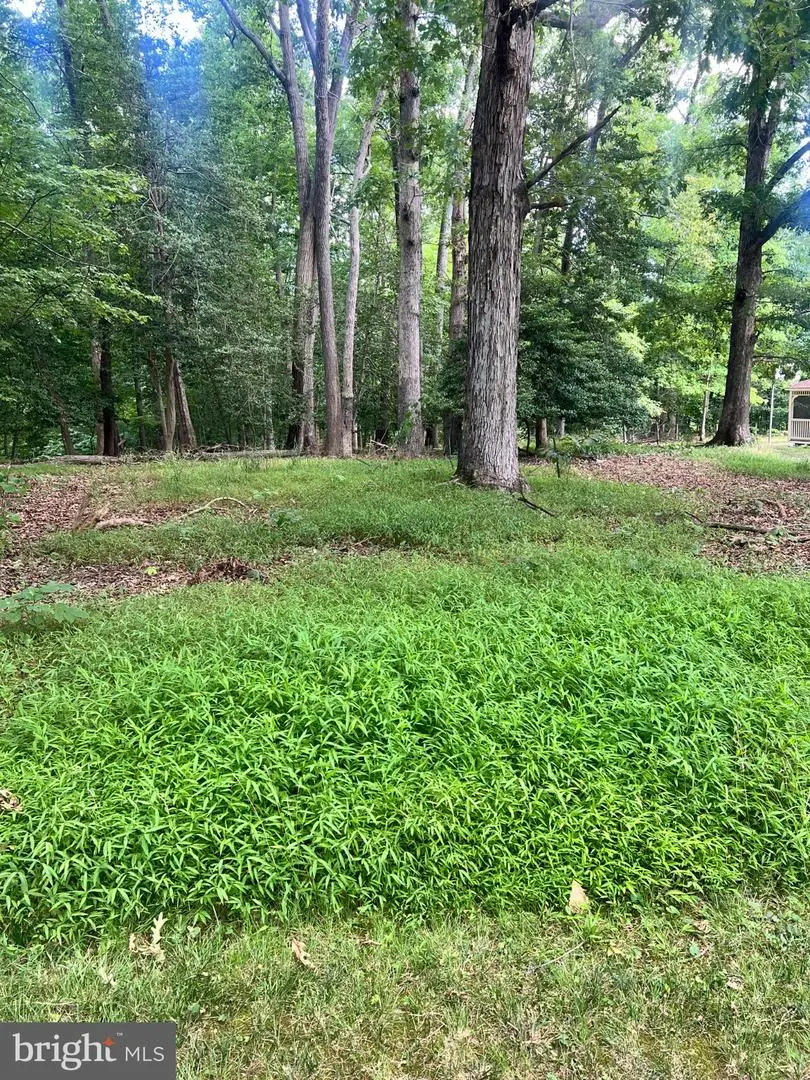12955 Old Fort Rd, Fort Washington, MD 20744 - #3