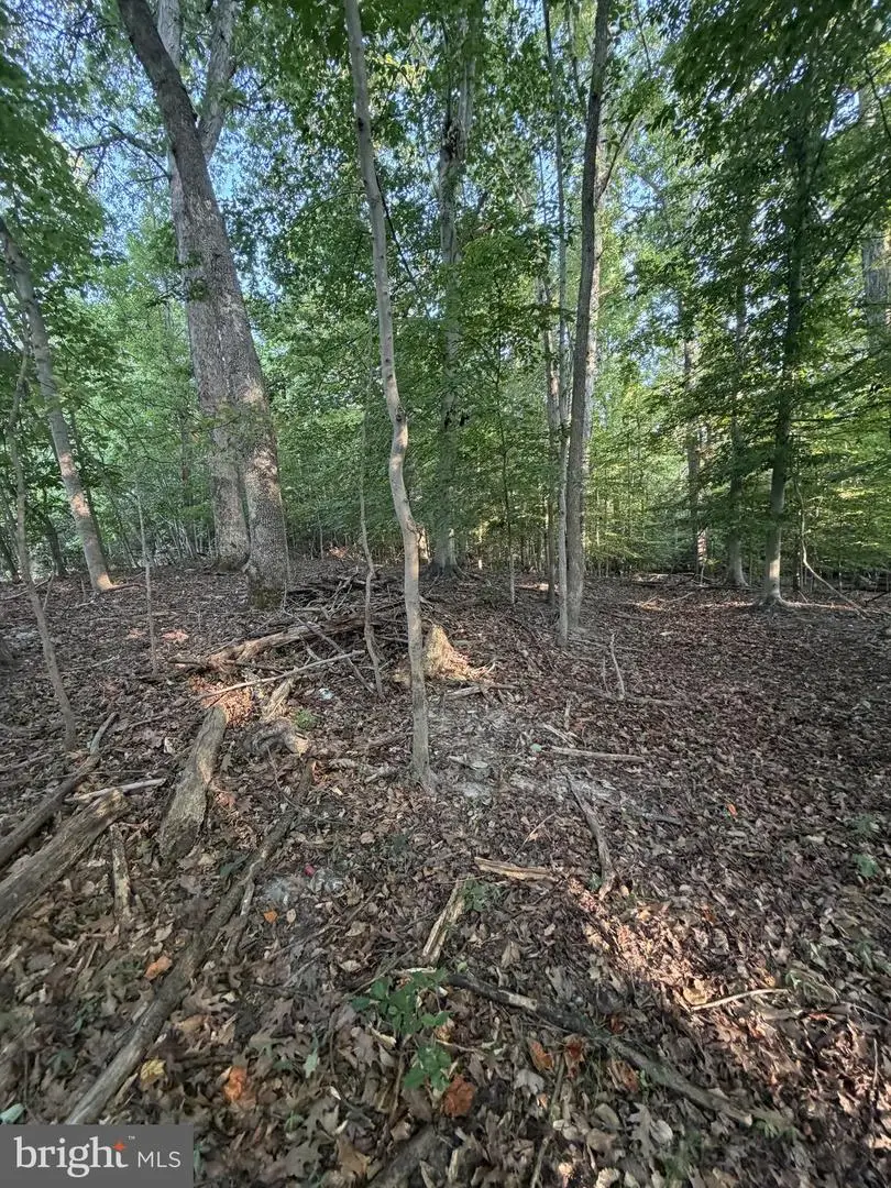 8401 Echo Ln, Clinton, MD 20735 - #3