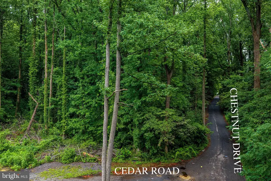 6901 Cedar Rd, Bowie, MD 20720 - #3