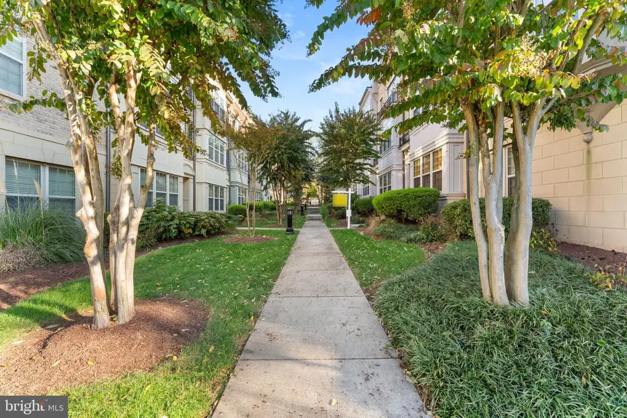602 Overlook Park Dr, National Harbor, MD 20745 - #3