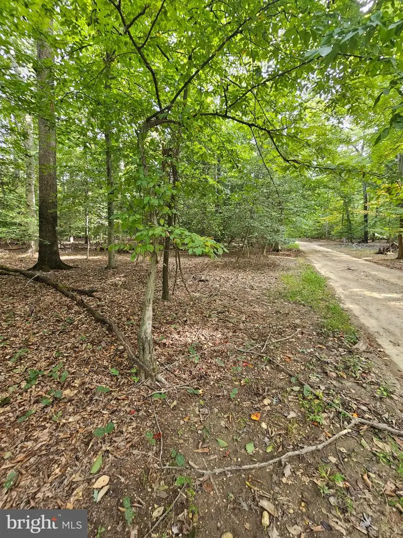 Sanford Dr, Accokeek, MD 20607 - #2