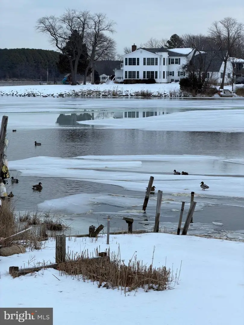 101 Beachside Dr, Stevensville, MD 21666 - #2