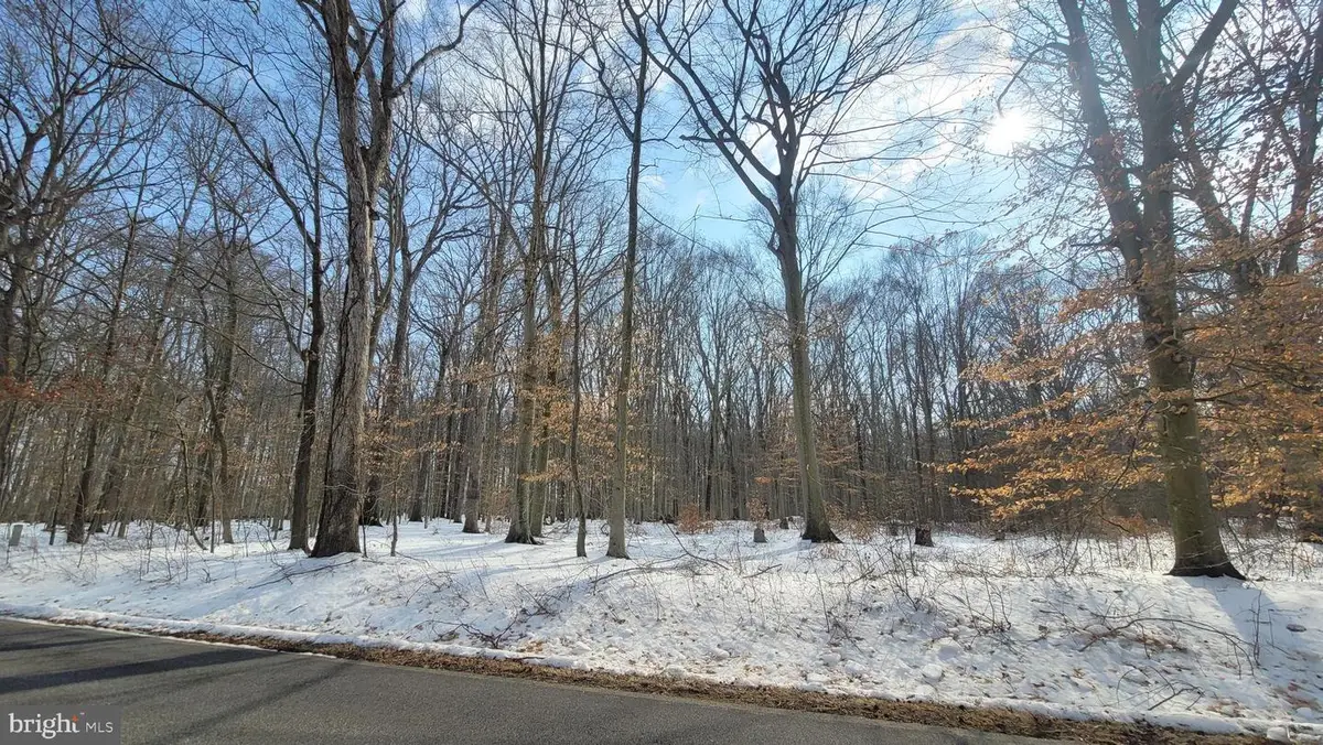 266 White Marsh Rd, Centreville, MD 21617 - #1