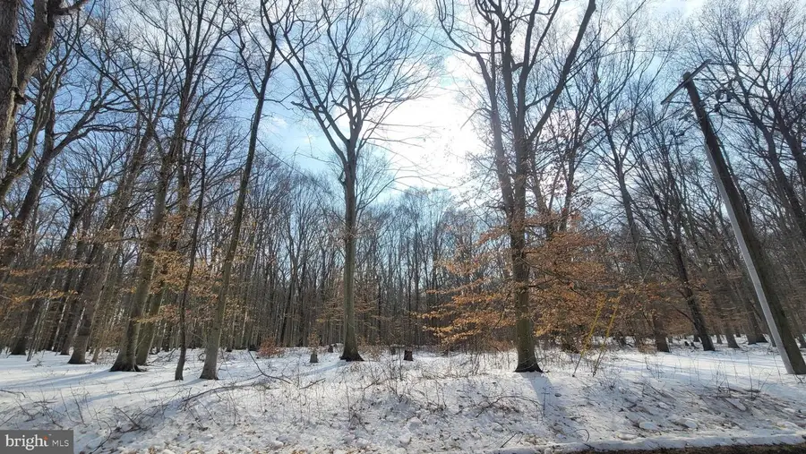 266 White Marsh Rd, Centreville, MD 21617 - #2