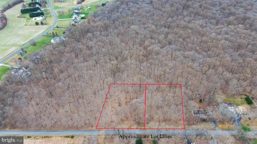 266 White Marsh Rd, Centreville, MD 21617 - #3