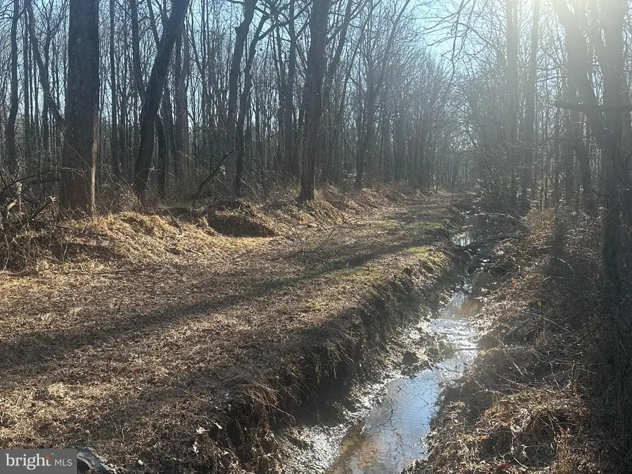 Big Woods Rd, Church Hill, MD 21623 - #3