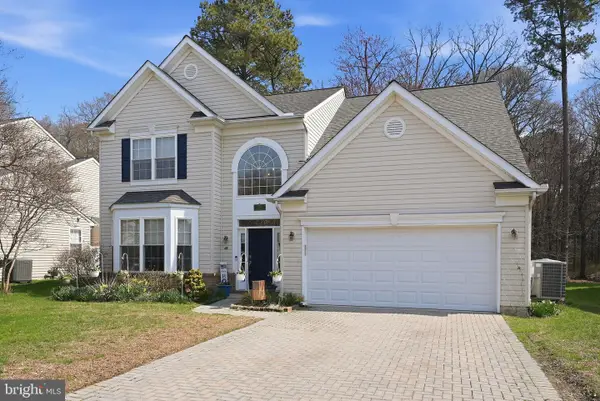 438 Web Foot Ln, STEVENSVILLE, MD 21666