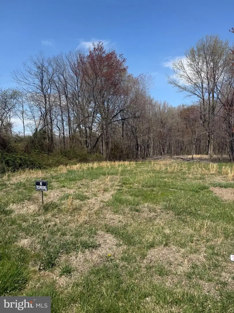 -parcel 132 Barclay Cutoff Rd, Barclay, MD 21607 - #1