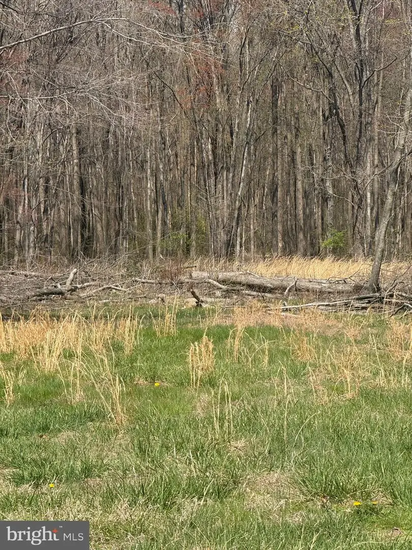 -parcel 132 Barclay Cutoff Rd, Barclay, MD 21607 - #2