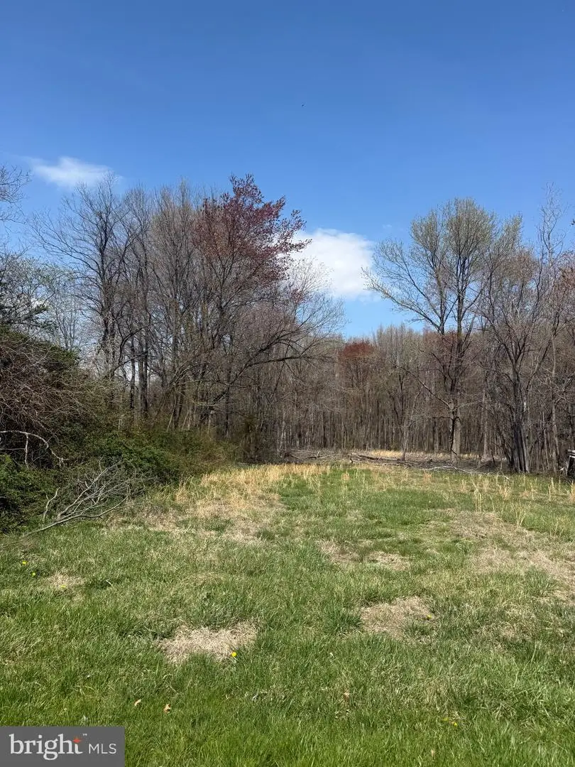 -parcel 132 Barclay Cutoff Rd, Barclay, MD 21607 - #3