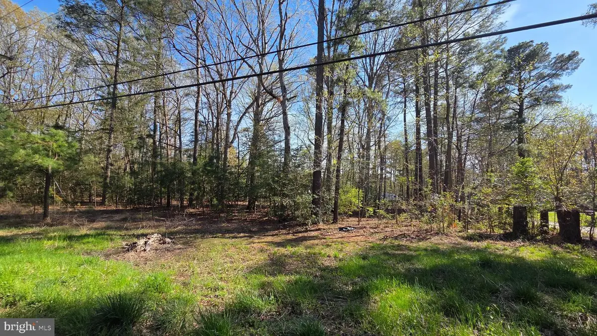 Touhey Dr, Stevensville, MD 21666 - #1