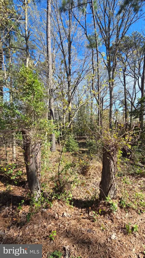 Touhey Dr, Stevensville, MD 21666 - #2