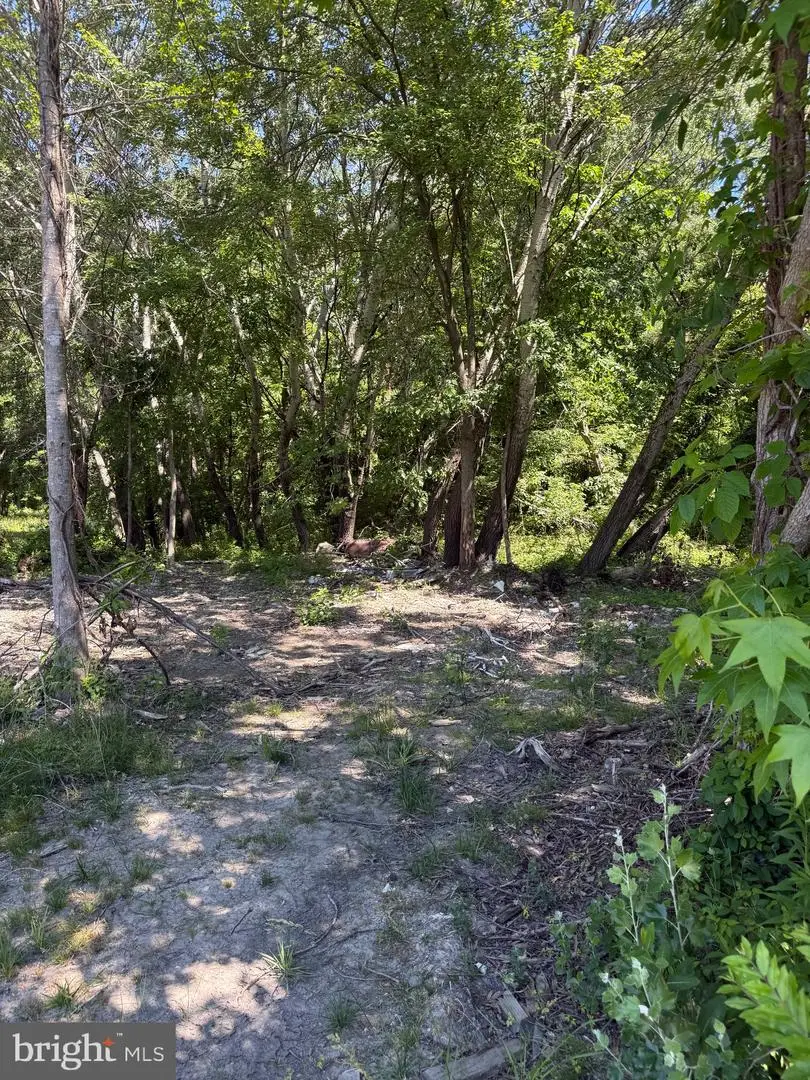 105 Barclay Cutoff Rd, Barclay, MD 21607 - #1