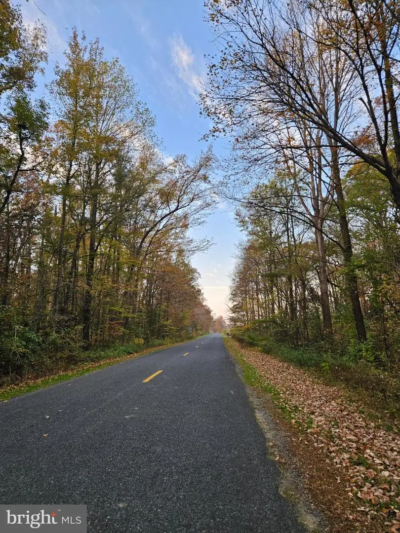 1031 Peters Corner Rd, Sudlersville, MD 21668 - #3