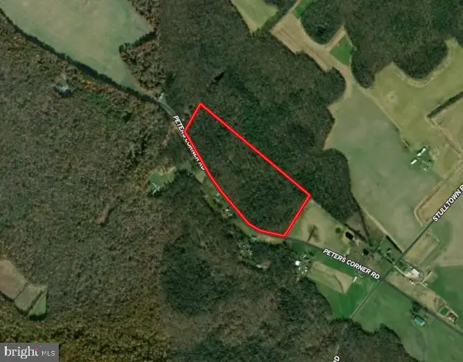 Peters Corner Rd, Sudlersville, MD 21668 - #1