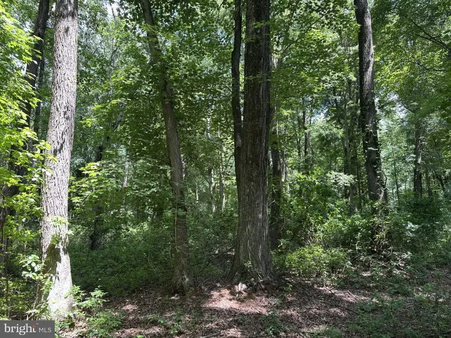 Peters Corner Rd, Sudlersville, MD 21668 - #3