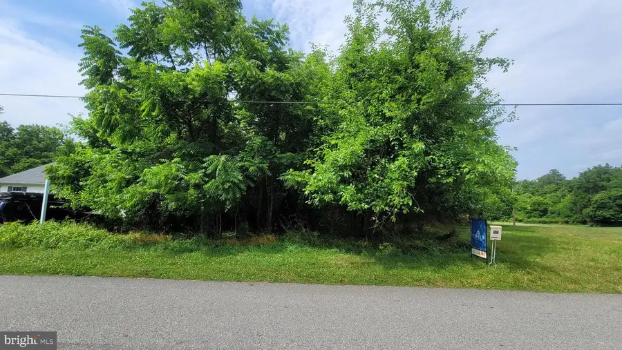 New St, Church Hill, MD 21623 - #3