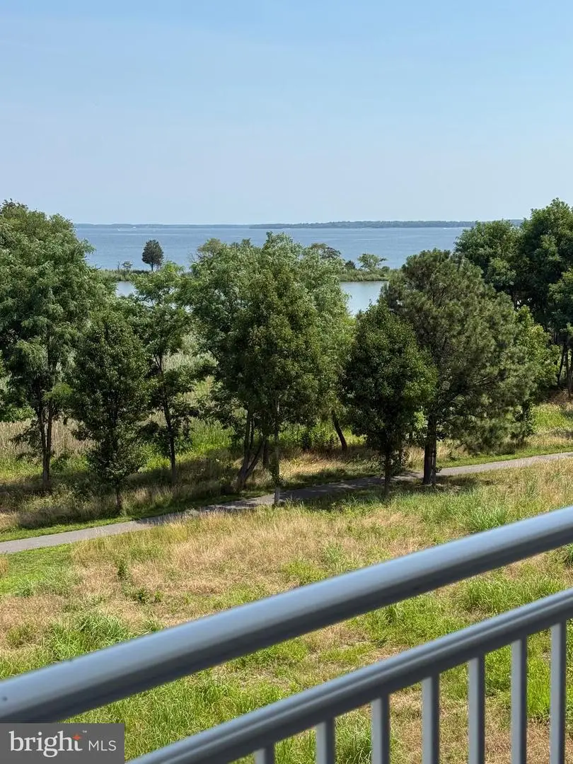 111 Marshgrass Way #41, Chester, MD 21619 - #3