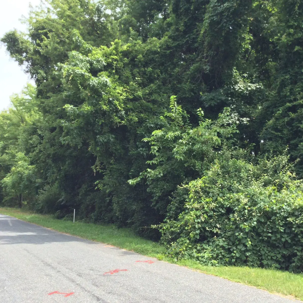 Baltimore Drive Dr, Stevensville, MD 21666 - #1