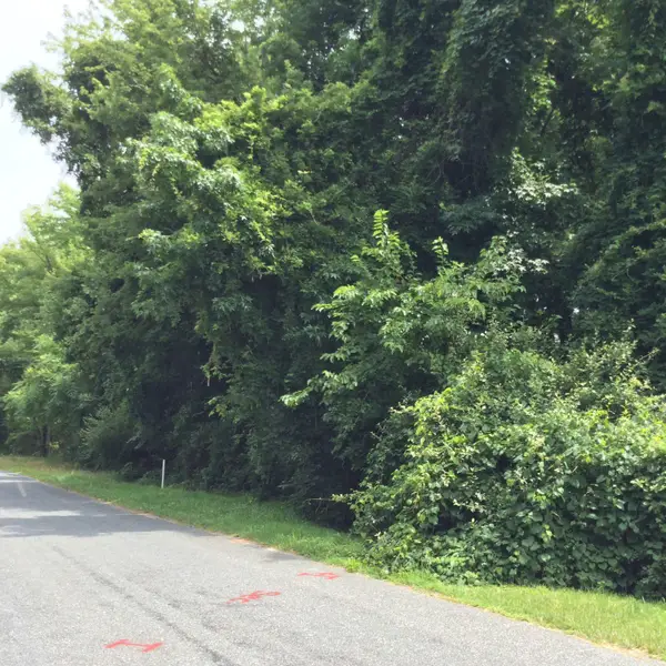 Baltimore Drive Dr, STEVENSVILLE, MD 21666