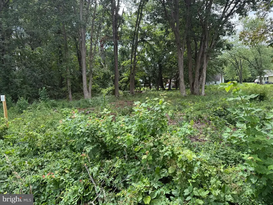 Harley Ln #lot 2, Chester, MD 21619 - #2