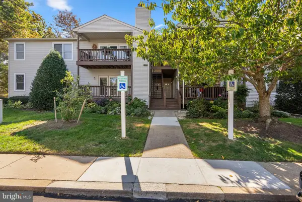 101 Bufflehead Ct, CHESTER, MD 21619