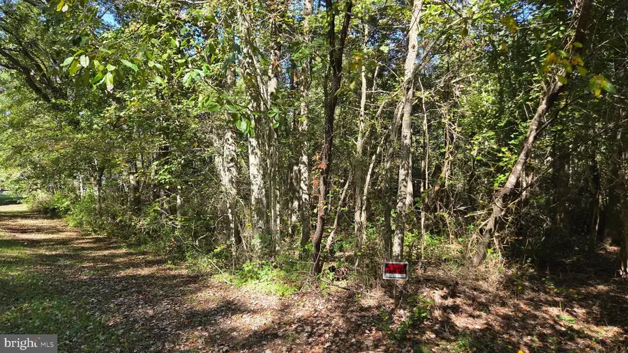 Duhamel Corner Rd, Marydel, MD 21649 - #2