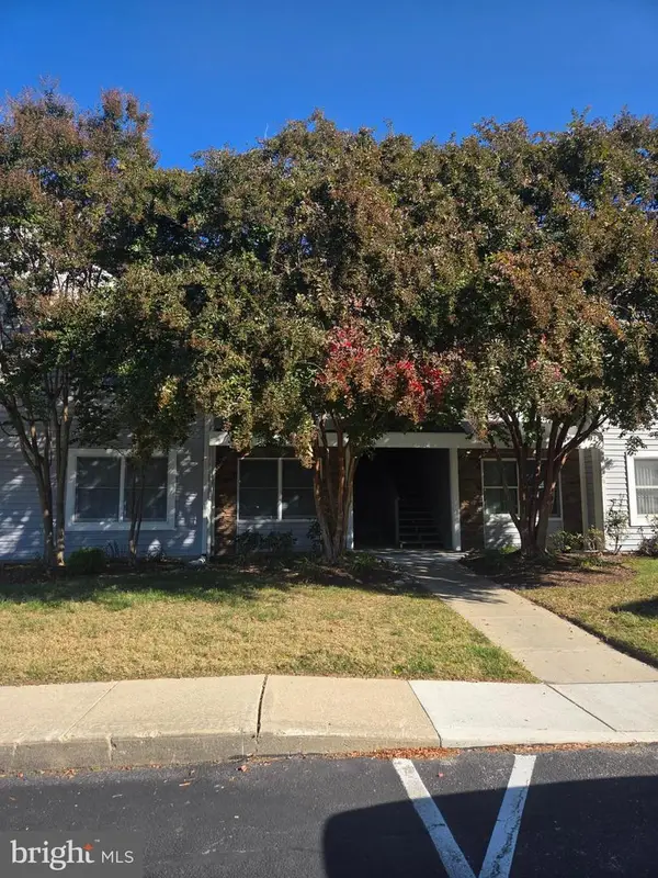 411 Merganser Ct, CHESTER, MD 21619