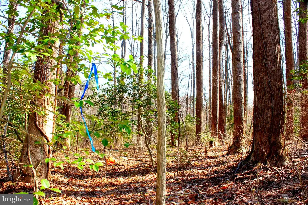 Scott Cir, Mechanicsville, MD 20659 - Image #1