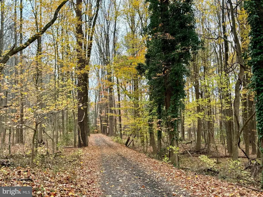 49465 Demko Rd, Lexington Park, MD 20653 - Image #3