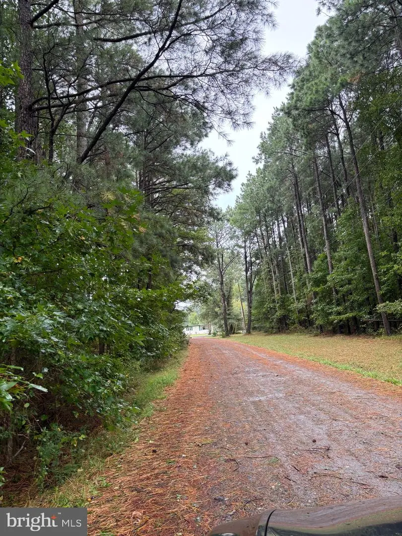 Lake Dr, Scotland, MD 20687 - Image #2