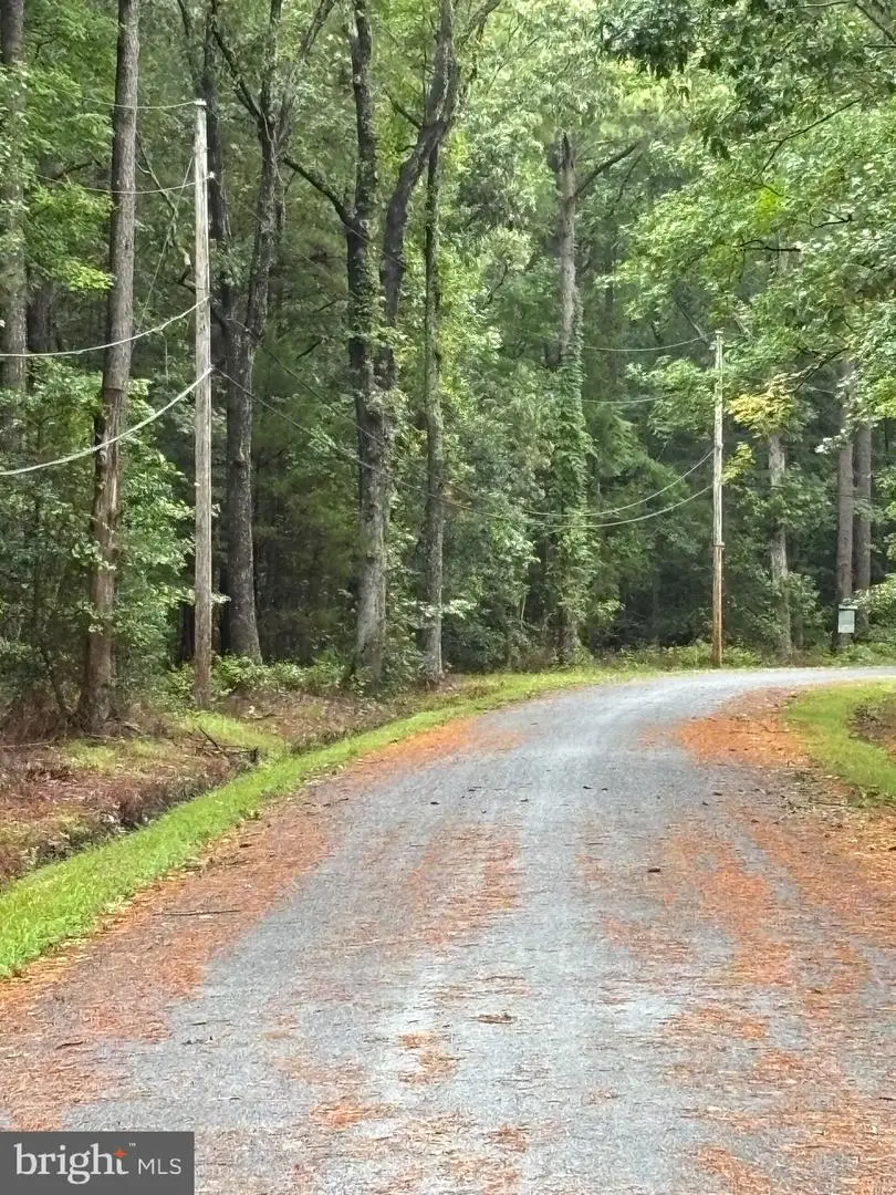 Lake Dr, Scotland, MD 20687 - Image #3