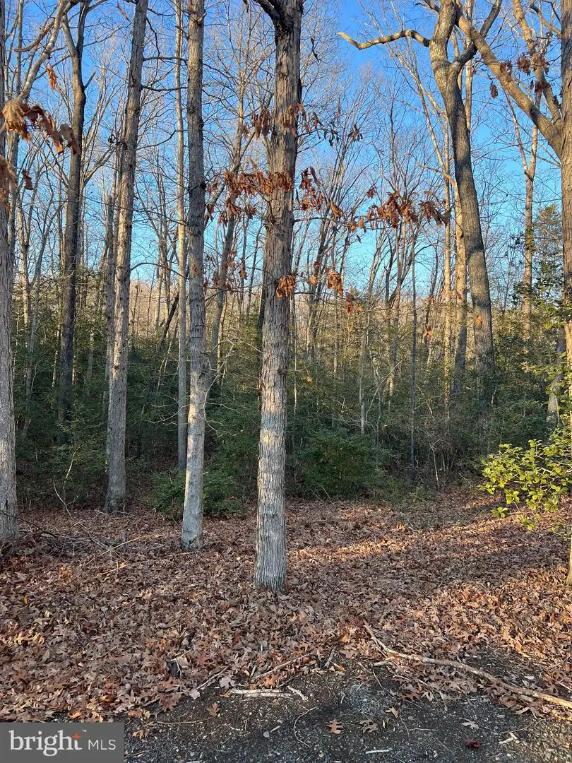 23660 Pine View Ln, Hollywood, MD 20636 - Image #3