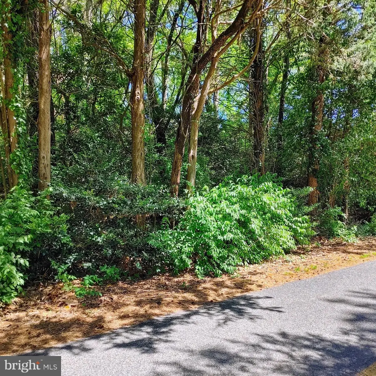 17778 Rosecroft Rd, Lexington Park, MD 20653 - #1