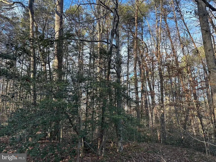 41180 Living Water Ln, Mechanicsville, MD 20659 - Image #2