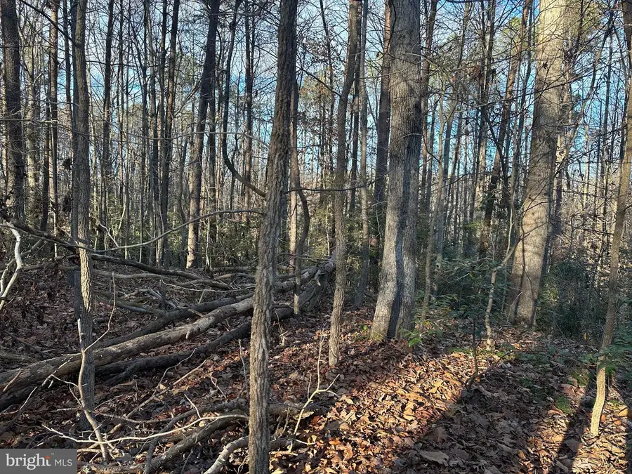 41180 Living Water Ln, Mechanicsville, MD 20659 - Image #3