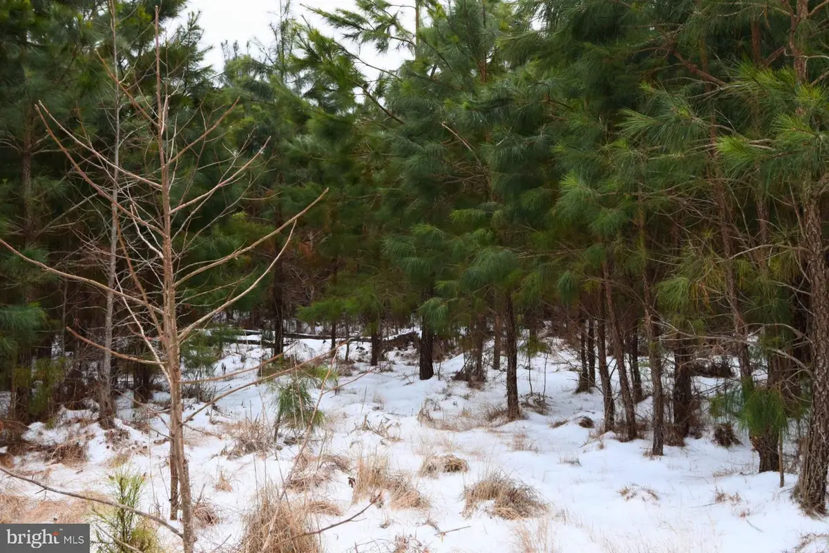 Jutland Rd, Saint Inigoes, MD 20684 - #1