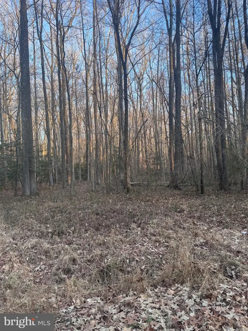 Upland Dr, Bushwood, MD 20618 - #1