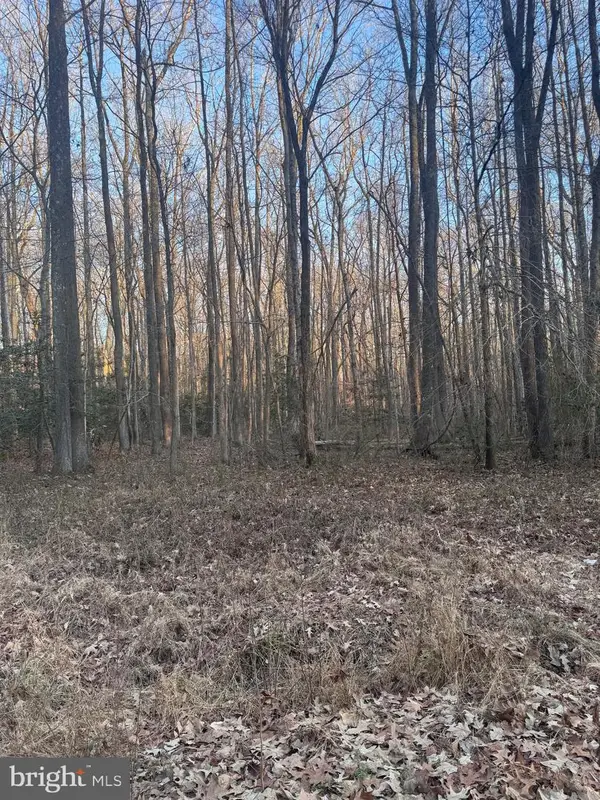 Upland Dr, BUSHWOOD, MD 20618