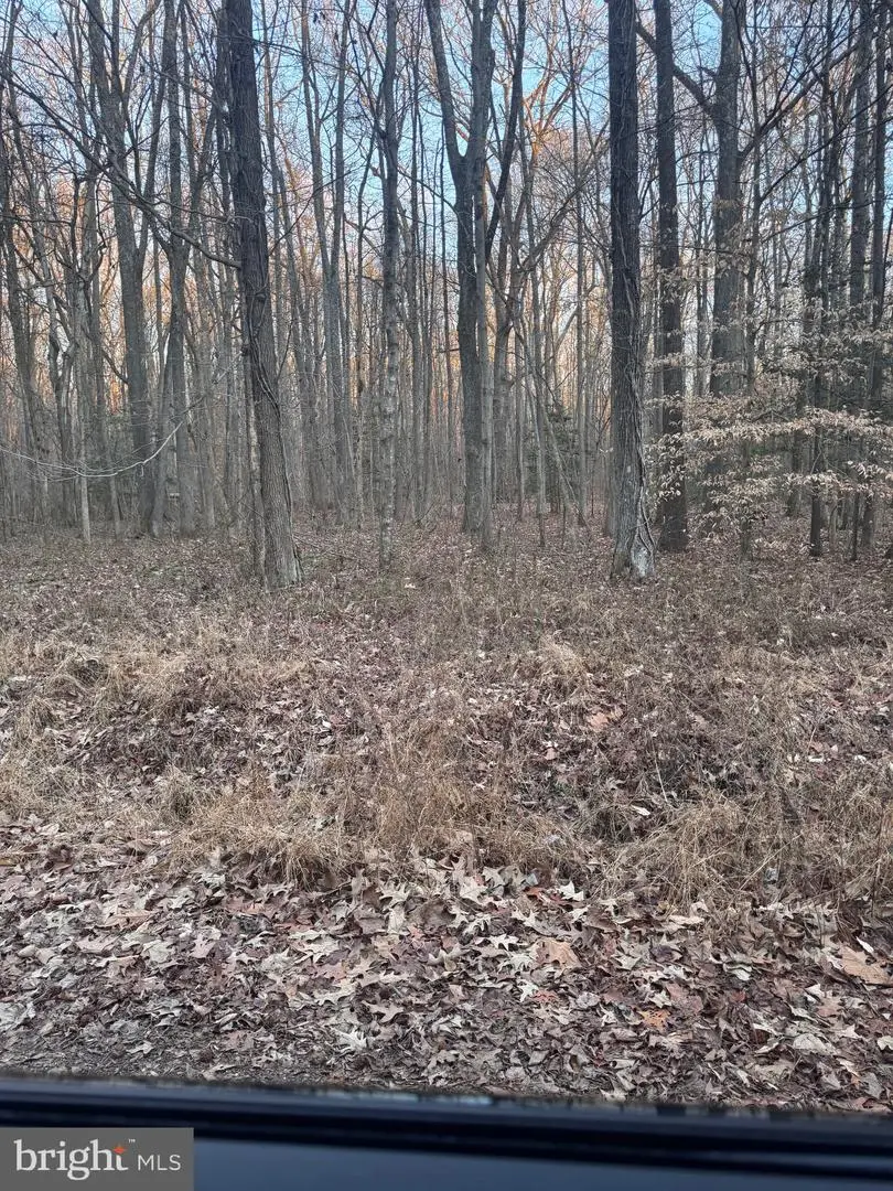 Upland Dr, Bushwood, MD 20618 - #2