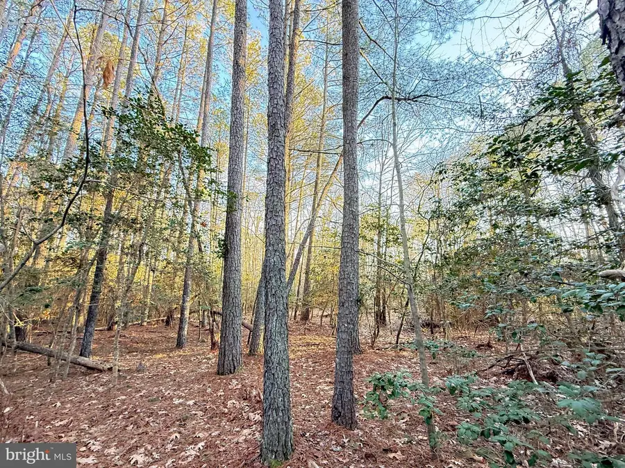 46080 Usher Ln, Valley Lee, MD 20692 - #2