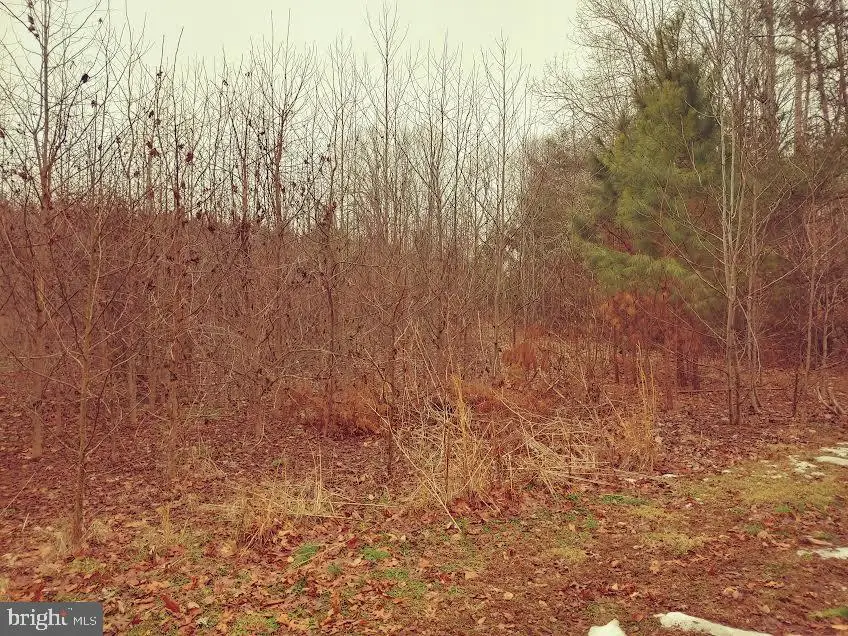 27425 Adams Ln, Mechanicsville, MD 20659 - #2