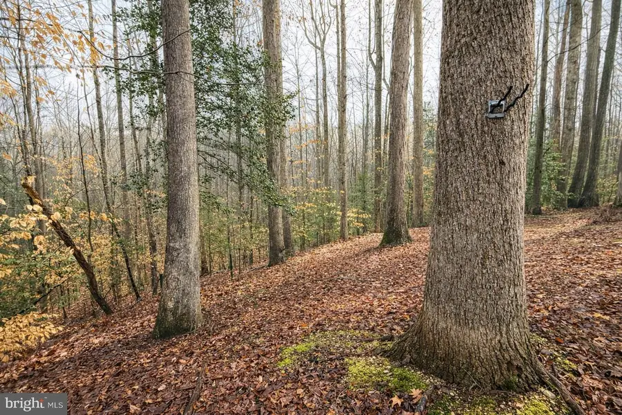 23980 Mcintosh Rd, Hollywood, MD 20636 - #2