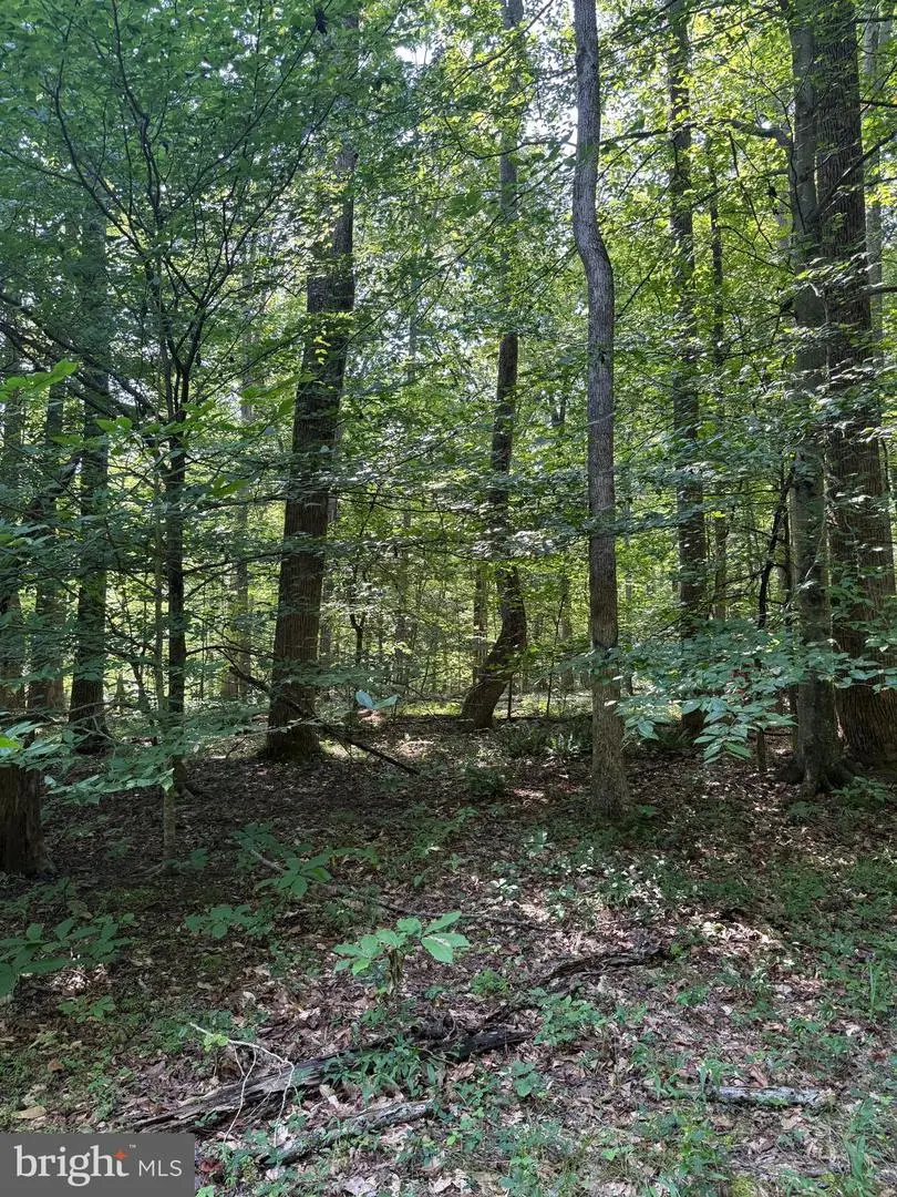 Cat Creek Rd, Mechanicsville, MD 20659 - #2