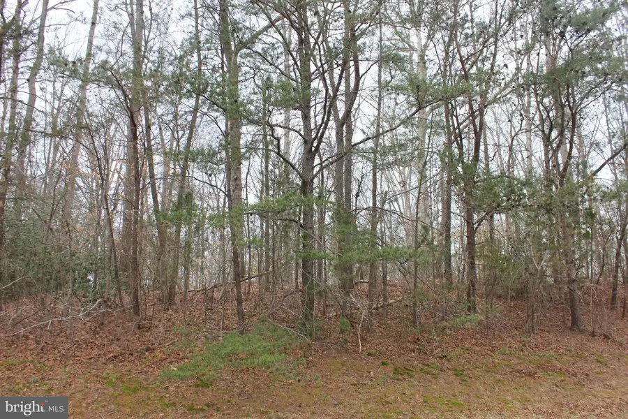 25815 Three Notch Rd, Hollywood, MD 20636 - #3