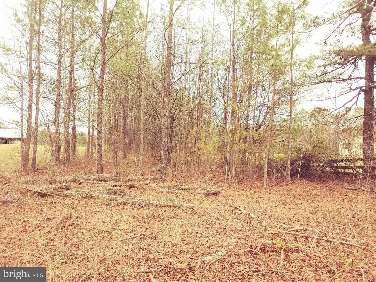 24350 Horse Shoe Rd, Clements, MD 20624 - #1