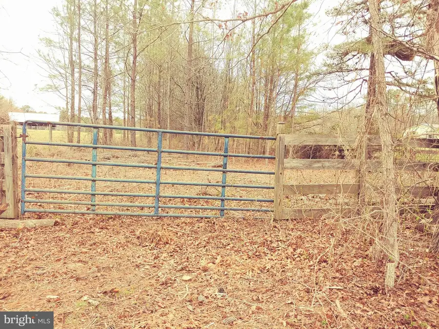 24350 Horse Shoe Rd, Clements, MD 20624 - #2